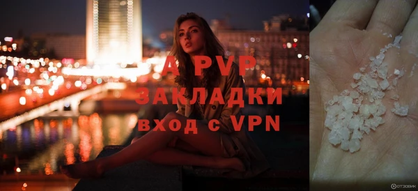 spice Беломорск