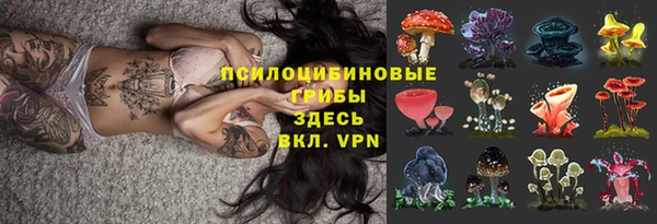 стафф Белоозёрский