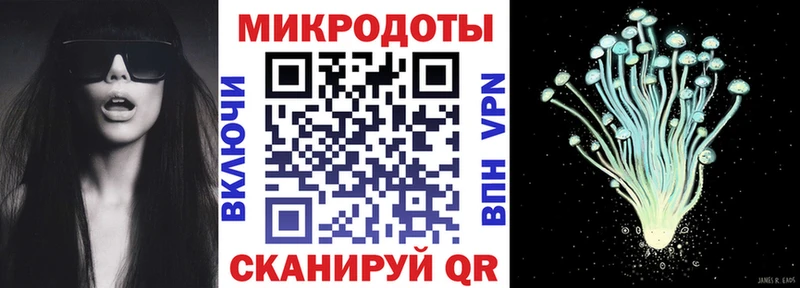 Псилоцибиновые грибы Psilocybine cubensis Мглин
