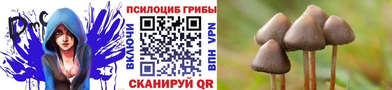 Псилоцибиновые грибы GOLDEN TEACHER Мглин